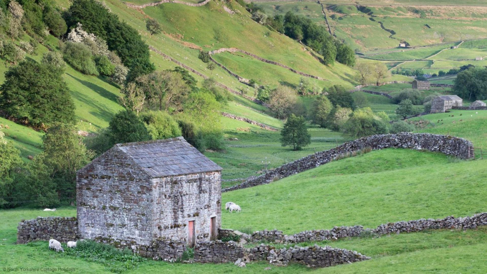 Picturesque Stone Cottage In The Heart Of North Yorkshire Village - Hideaway Cottage Dış mekan fotoğraf