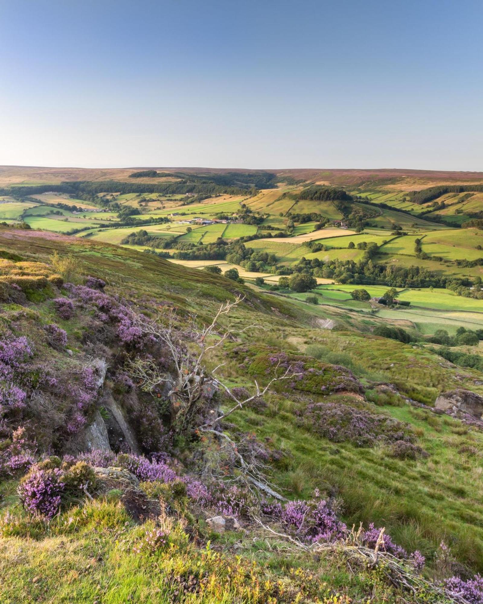 Picturesque Stone Cottage In The Heart Of North Yorkshire Village - Hideaway Cottage Dış mekan fotoğraf